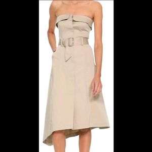 Banana Republic Asymmetrical Strapless Dress
